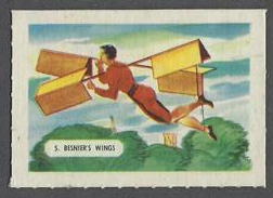 5 Besnier's Wings